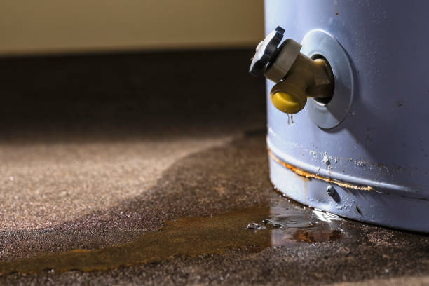 Best Flooded house restoration  in Moreauville, LA