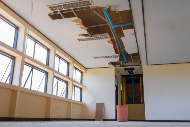 Best Mold removal after water damage  in Moreauville, LA