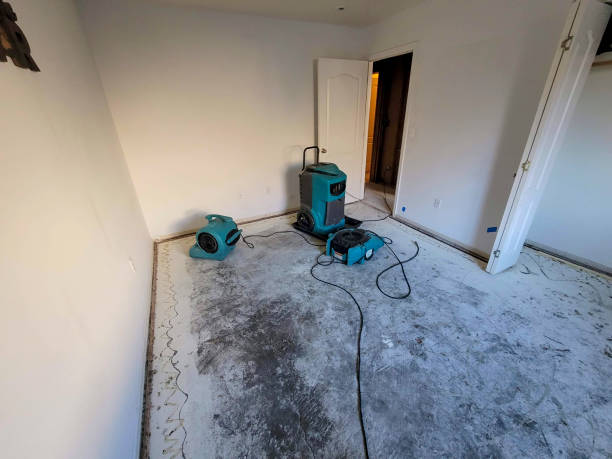 Best Flooded house restoration  in Moreauville, LA