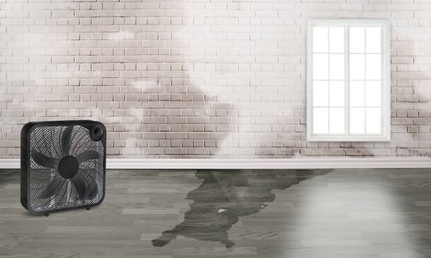 Best Flood damage cleanup  in Moreauville, LA