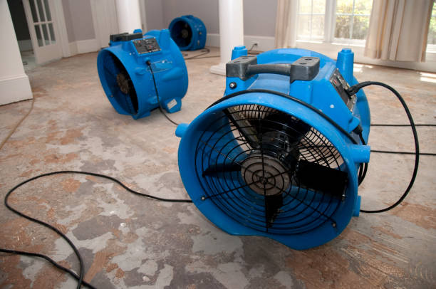 Best 24-hour water damage restoration  in Moreauville, LA