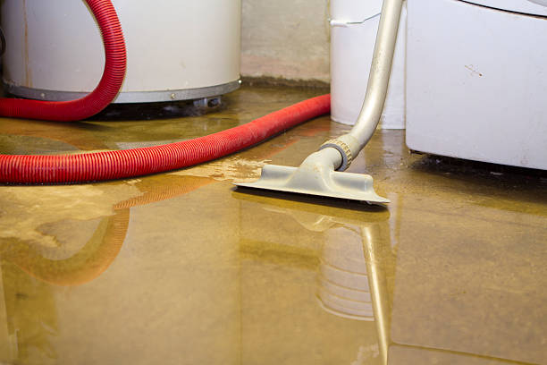Best Carpet water damage restoration  in Moreauville, LA