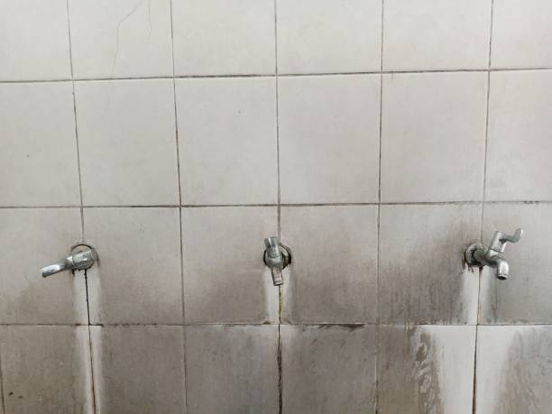 Best Water damage restoration cost  in Moreauville, LA
